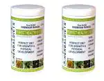 HERBAL DIETS Perfect Healthy Diet G 500g (Mix-Fruit Flavor, Pack of 2)