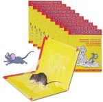 TruVeli Mouse Glue Trap Rat Catcher Adhesive Sticky Glue Pad (Pack Of 10)