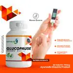 HappyMillions GlucoPause - Natural Sugar Control Supplement || 60 Tablets || 750 Mg