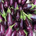 CooPany Baigan / Vangi / Brinjal / Begun Vegetable Seed (50 Seeds)