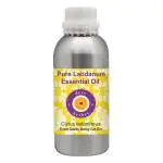 Deve Herbes Pure Labdanum Essential Oil (Cistus ladaniferus) Natural Therapeutic Grade Steam Distilled 630ml