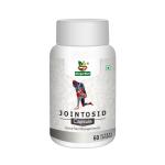 Divya Shri Jointosid Capsule | Joint Pain Support | Pure Herbs I Ayurvedic Product (60 capsules)