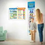 GOWOO MONTHS OF THE YEAR AND DAYS OF THE WEEK CHART and PRINCESS HEIGHT CHART | set of 2 charts 1 Educational + 1 Height Chart | Whimsical Combo of Princess Height Chart and Months & Days Name Chart for kids