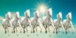 Elegance Vastu 7 Running White Horses With Sunrise Canvas Painting - 48 X 24 Inch