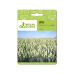 National Gardens Organic Oat Grain Seeds (10 Nos)
