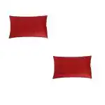 ORCHEED Set of 2 Classic Plain Soft Microfiber Anti Stress Bed Pillow for Sleeping 16x24 Inches