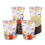 KOLOROBIA Humming Bird Frosted Shot Glass, for Everyday Drinking Whiskey, Tequila, Vodka, Liqueur, Bars, Cocktail, Home Bar, Gifts for Men, (Pack of 2)