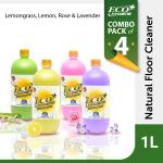 ECO HYGIENE+ Natural Floor Cleaner- Pack of 4 - 4 Liter