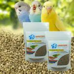 Jainsons Pet Products Green Foxtail Millet (Kangani) Small Bird Food (900grm 2PKT)