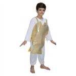 Kaku Fancy Dresses Golden Fish Costume -Golden, 10-12 Years, For Boys & Girls