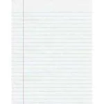 Lakeer A4 Size Both Side Ruled Sheet for Project/Assignment/Practical/Homework (Pack of 300 Sheets)