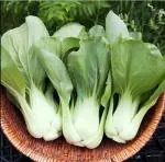JIGNISHA SEEDS F1 Hybrid Pak Choi , Bok Choy Vegetable Seeds Pack Of 100