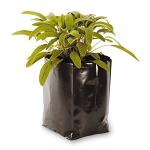 CRODOR Plastic Poly Grow Bag (5Inch x 9Inch, 100 Piece, Black)