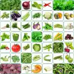 Aero Seeds 45 Varieties Organic Vegetable Seeds For Home Garden