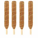 Liveonce Natural Coco Pole -Moss And Coir Stick For Indoor House Plant Creepers Support 1 ft - Pack Of 4