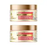 Khadi Organique Night Cream Reduce Fine Lines & Wrinkles (Pack of 2) 100 GM