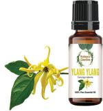 botanic garden Ylang Ylang/Cananga odorata For Muscular Cramps, Nervous Tension, Stress, Depression, Nervousness and Insomnia/Undiluted 100% Pure Essential Oil (30 ml)