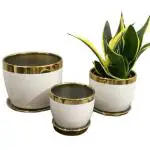 Garden Art White and Golden Indoor with Saucers Ceramic Flower Pots (22 x 22 x 19.2cm) pack of 3