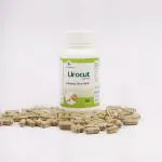 SRI HERBASIA BIOTECH Uro Cut Ayurvedic Capsule Pack 1