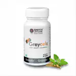 Sundyota Lifecare Greycelz Focus, Memory and Concentration Brain Booster Tablets With Brahmi, Bacopa Monnoieri and Ashwagandha | Pack of 60 Tablets