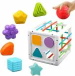 ADKD Shape Sorter Montessori Educational Toys With 6 Blocks - Multicolor