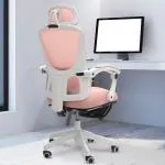 DROGO Premium Ergonomic Office Chair for Work from Home | High Back Computer Chair with Adjustable Seat