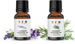 THE FARDA BEAUTY Combo Pack of Lavender and Rosemary Essential Oils- 100% Pure & Organic (30 ml)
