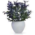 Fancy Mart Blue Artificial Latex Plant in White Apple Pot 32 cm x 30 cm