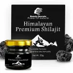 Beauty Secrets Pure Himalayan Shudh Raw Shilajit Resin for Men & Women