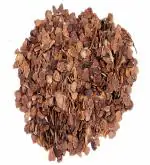 Studio Seed Jacaranda Seeds Neeli Gulmohar (50 Fresh Seeds)