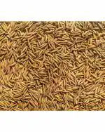 Green World Pusa PR -129 Variety Paddy Seeds 5 kg (Pack of 2)