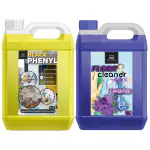 Bliss&Blush Black Phenyl 5 Liter Y& Floor Cleaner 5 Liter Blue, 10 liter combo| Disinfectant Surface & Floor Cleaner Liquid