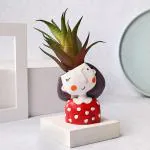 Floweraura Decorative Artificial Haworthia Indoor Plant With Cute Red Girl Resin Pot Vase For Living Room, Table Corner, Bedroom, Office/Home Decoration And Gifts For Friends, Relatives, Neighbours & Colleagues