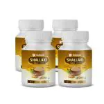 Dwibhashi Shallaki Tablets 60 Tab (pack of 4)