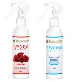 Euro Care Car Air Freshener, Car Perfume - Fragrance Rose & Aqua, 200ml Spray , 2 Unit