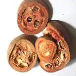 Xetomos Rudanti Rudravanti Phal Rudanti Littoral bind weed Cressa cretica Rudautika 150g Other names are Rudravanti Phal , Rudanti Fal , Cressa cretica, Rudravanti Phal, Rudrawanti Fal rudrawanti, phal, rudravanti, rudanti, fal, cressa, cretica