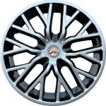 WolkomHome car Wheel cap, Hub Cap Wheelcover Wheel Cover 13 Inch Universal for All 13 inch Wheel Size cars Set of 4 pc Delta Silver Black Color