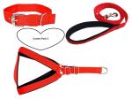 Petlia Padded Nylon Dog Body Belt Dog Belt Dog Leash Large (Neck Size - 18-30 inch) (Chest Size - 24-34 inch) Combo Harness Collar Leash pack 3 Red