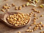 FRULICIA SORTEX FENUGREEK SEED / METHI DANA (900GM)