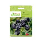 National Gardens Black Raspberry Fruit Seeds (20 Nos)