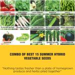 Only For Organic Summer Hybrid Vegetable Seeds With Instruction Manual (Pack of 15 Variety)