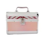 Clarabae Vanity Box for Women Makeup Organizer Box Clip-and-Go Makeup Bag with Two Tray & Mirror Mechannical Closure Professional Travel Makeup Case Portable Artist Cosmetic Organizer Storage Bag (Rose Gold)