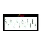 Comet Busters Green Bindi For Women