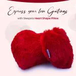 Sleepsia Heart Shaped Pillows, Valentine Day Gift Combo Girlfriend/Boyfriend