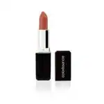 Coloressence Moist Matte Lipstick, Long Lasting Waterproof Smudge Proof Lip Color - Burnt Red 4g
