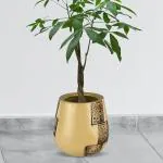 KUNDA Yellow, Black Ceramic Aqua Planter Flower Pot, 11 X 11 X 10 Inch