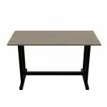 Multipurpose Computer Desk Office Table for Home Office (120x60x73cm) (I Shape)