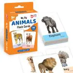 Little Berry Animals Big Flash Cards for Kids - 32 Picture Cards | Learning & Education Toy