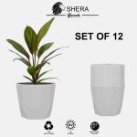 YUCCABE ITALIA SHERA Hexa 8 INCH Pack of 12 Pcs White Plastic Flower Pot