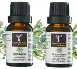 Charming Aura Eucalyptus Essential Oil- Pack of 2 (15ml each) Pure & Natural Steam distilled for Skin care, Hair Care, Mosquito repellent, Diffuser, Aromatherapy
